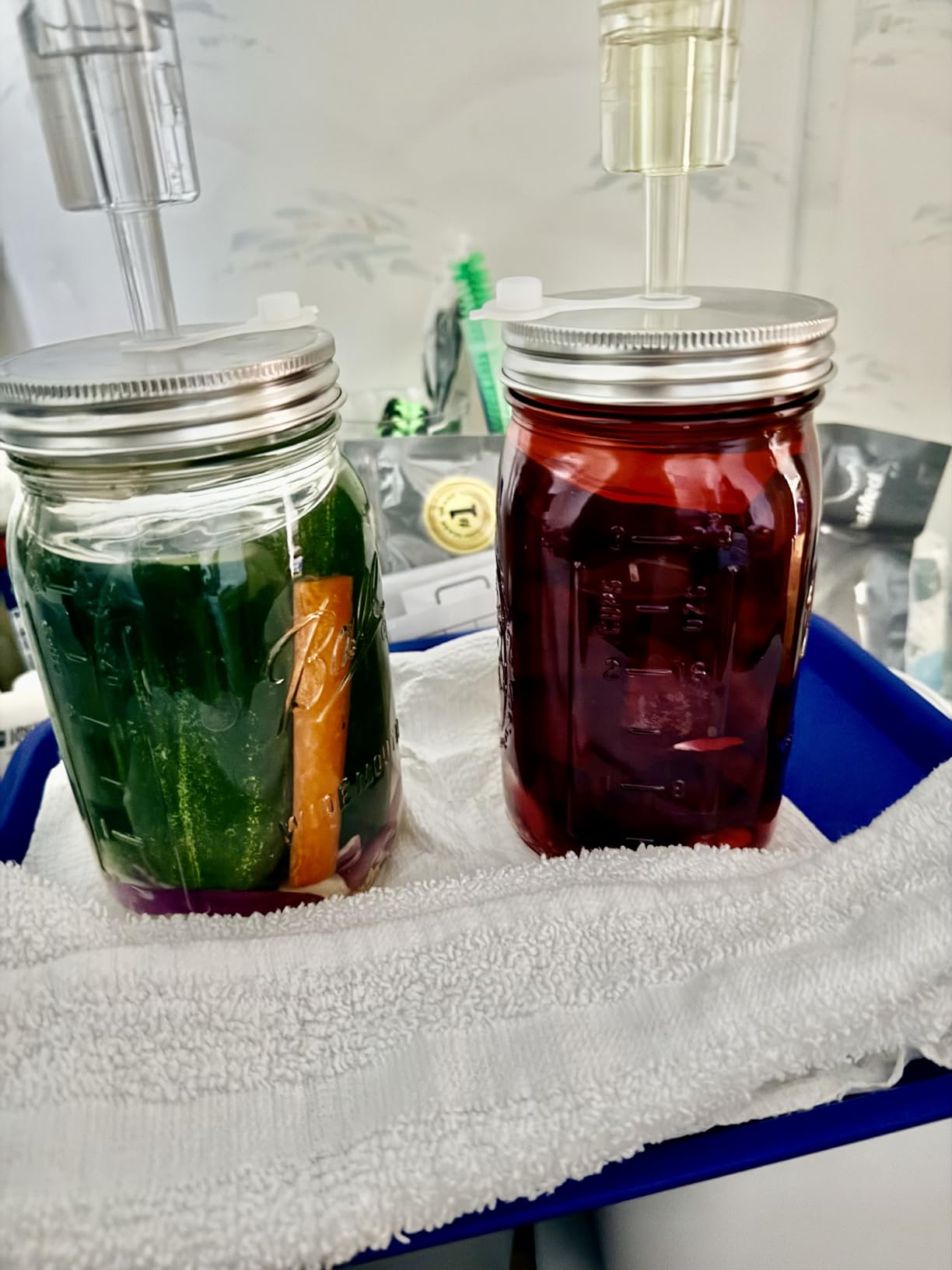 32 oz Mason Jar Fermentation Kit,Sauerkraut/Pickling Kit with 2 Pack Fermentation Jars, 2 Fermentation Lids, 2 Fermenting Weights and Airlocks(2 Jars Included) customer photo 2