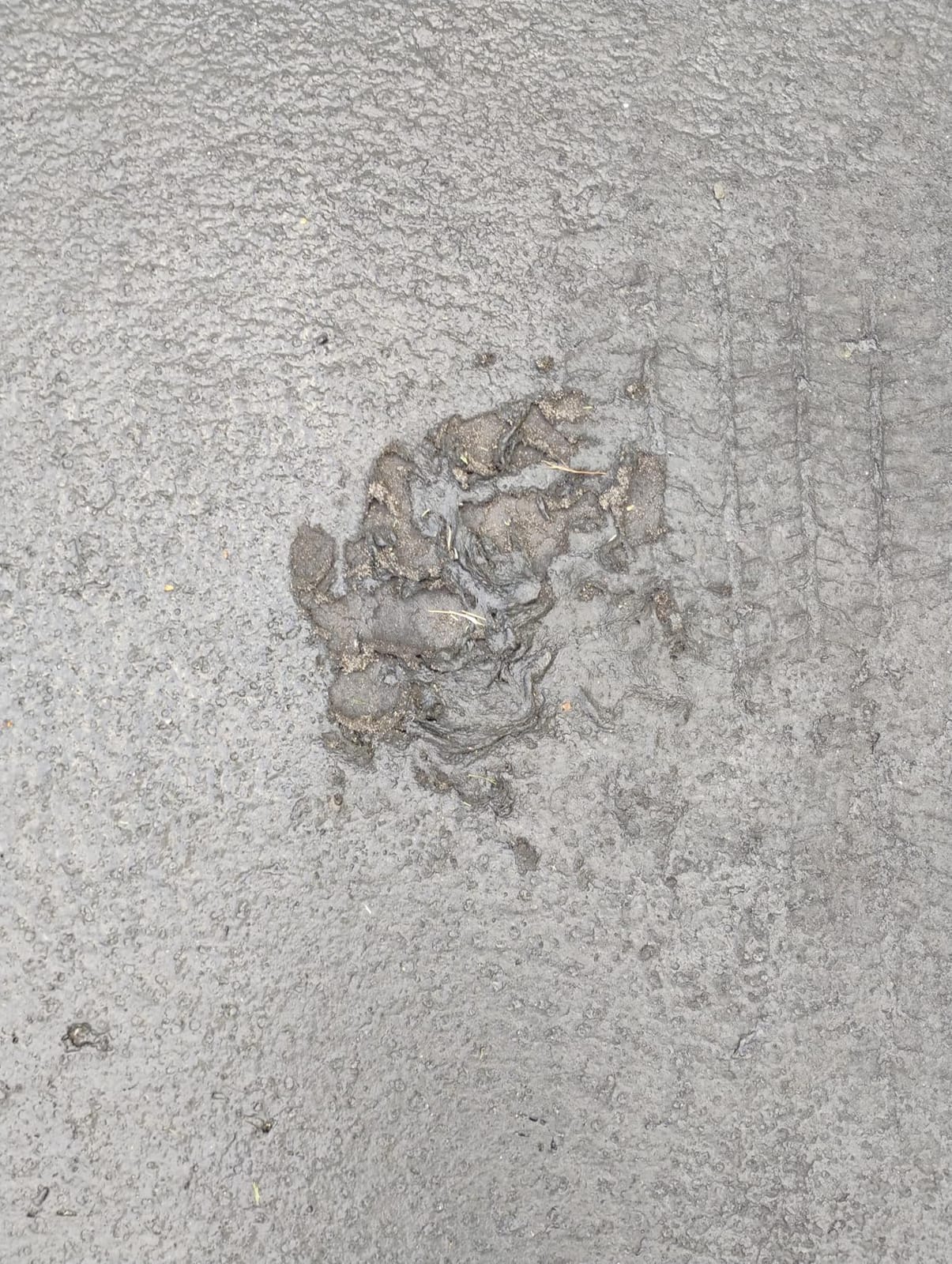 Liquid Rubber Driveway Restore - Asphalt Sealer & Crack Filler, 4 Gallon | Highly Flexible Coating Fills Cracks & Revitalizes Asphalt - Easy to Apply, DIY Friendly Driveway Repair & Restoration customer photo 2