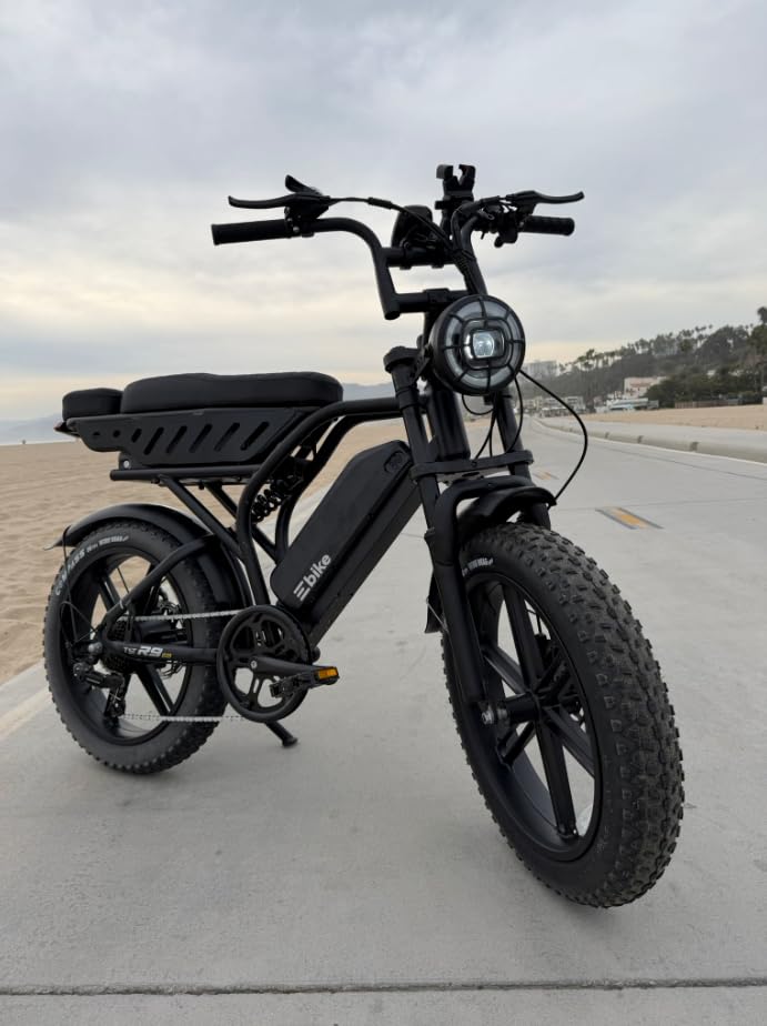 Electric Bike for Adults,48V Removable Battery Retro Ebike,28MPH Top Speed customer photo 1