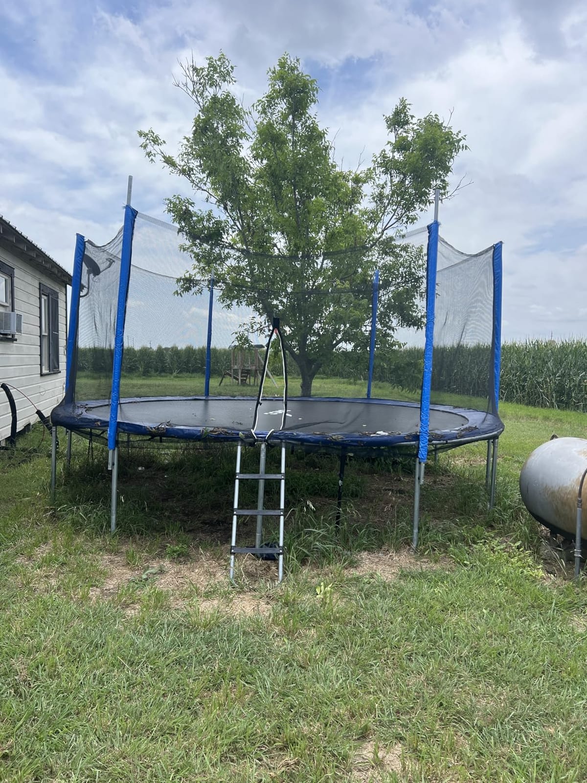 ORCC 1200LBS Weight Capacity Kids Trampoline 16 15 14 12 10 8FT Outdoor Yard Trampolines for Kids Adults, Heavy-Duty Galvanized Steel Frame Recreational Trampoline customer photo 1