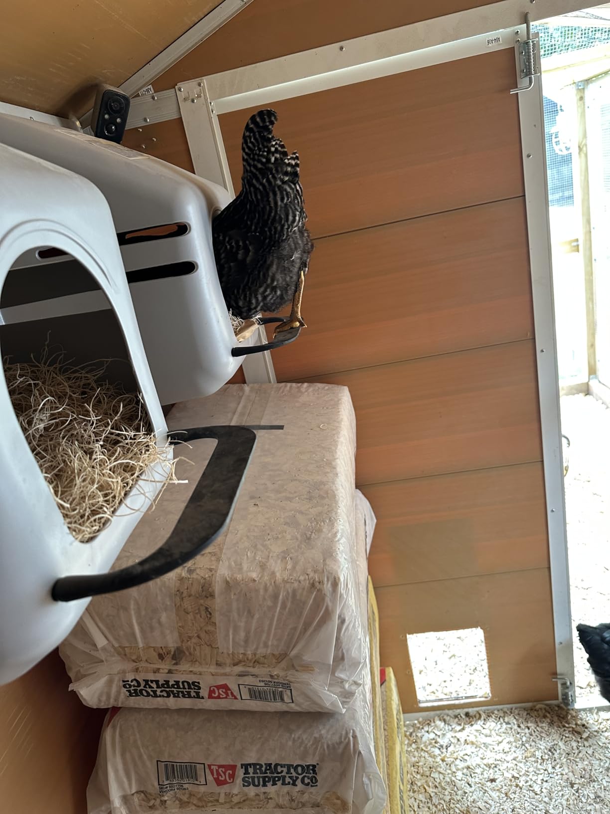Little Giant Single Plastic Nesting Box Chicken Nest Box with Perch (Item No. 163620) customer photo 1