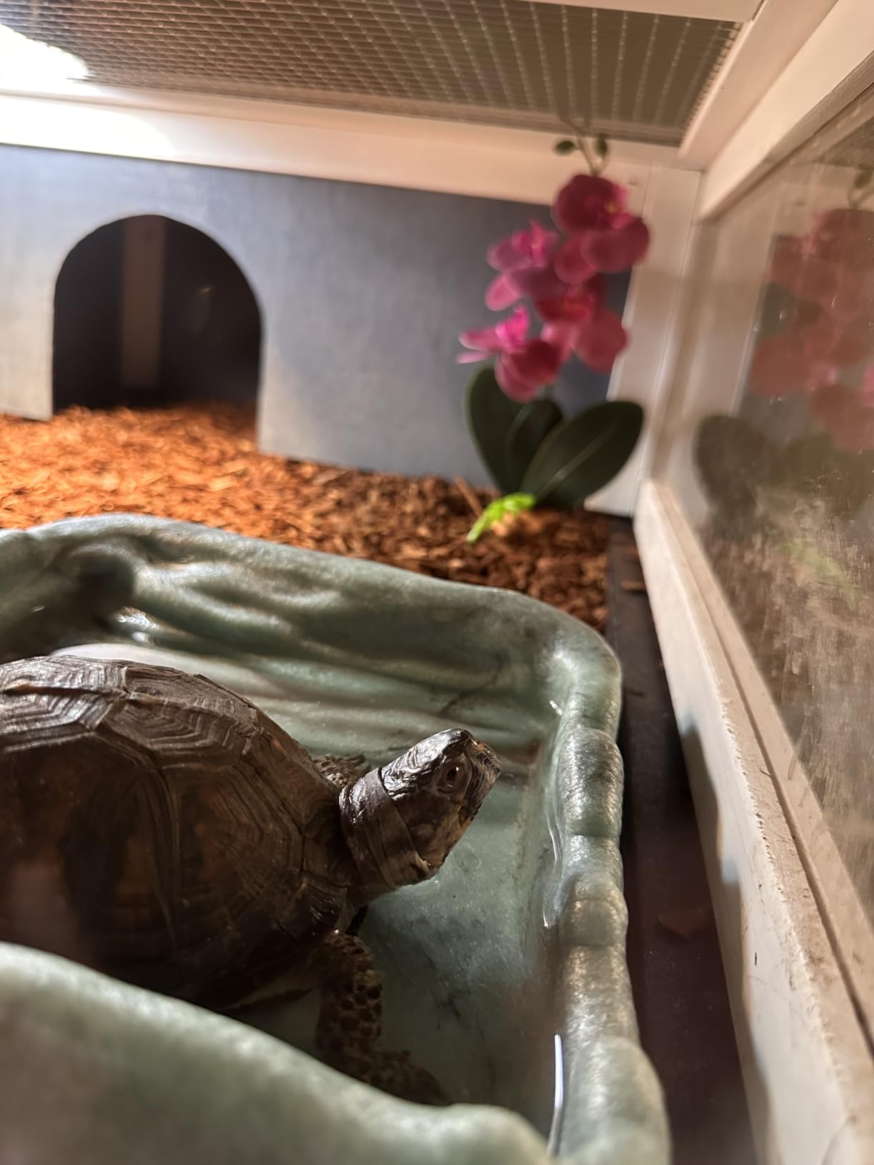 Zoo Med - Lght KIT AQTURTLE HEATUVB customer photo 1