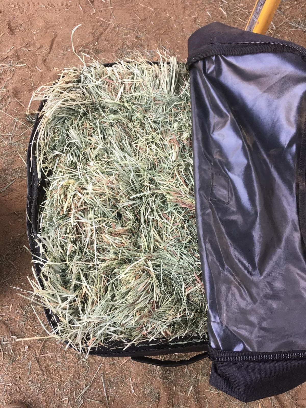 Cashel Rolling Bale Bag Hay bag Haybag - Large (50