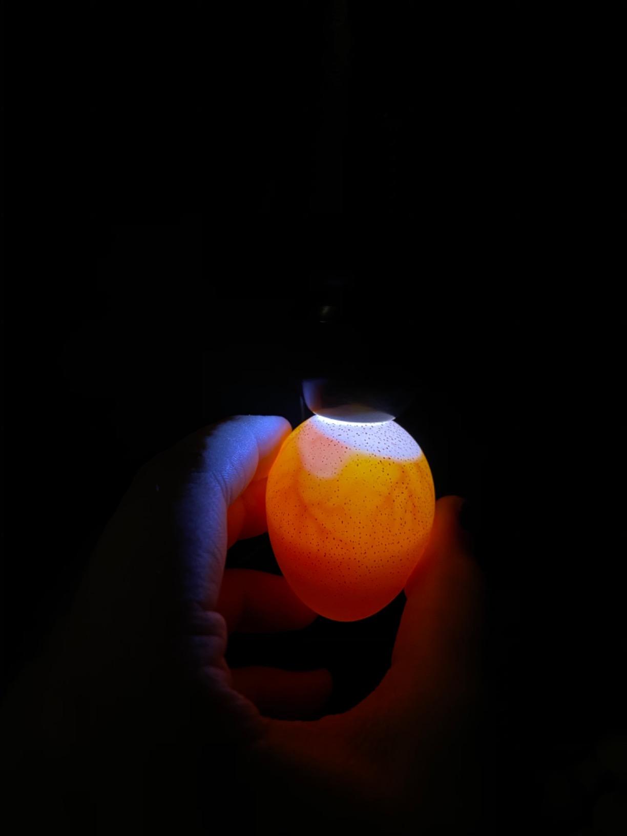 Magicfly Bright Cool LED Light Egg Candler Tester, Powered Only by Power Supply customer photo 2