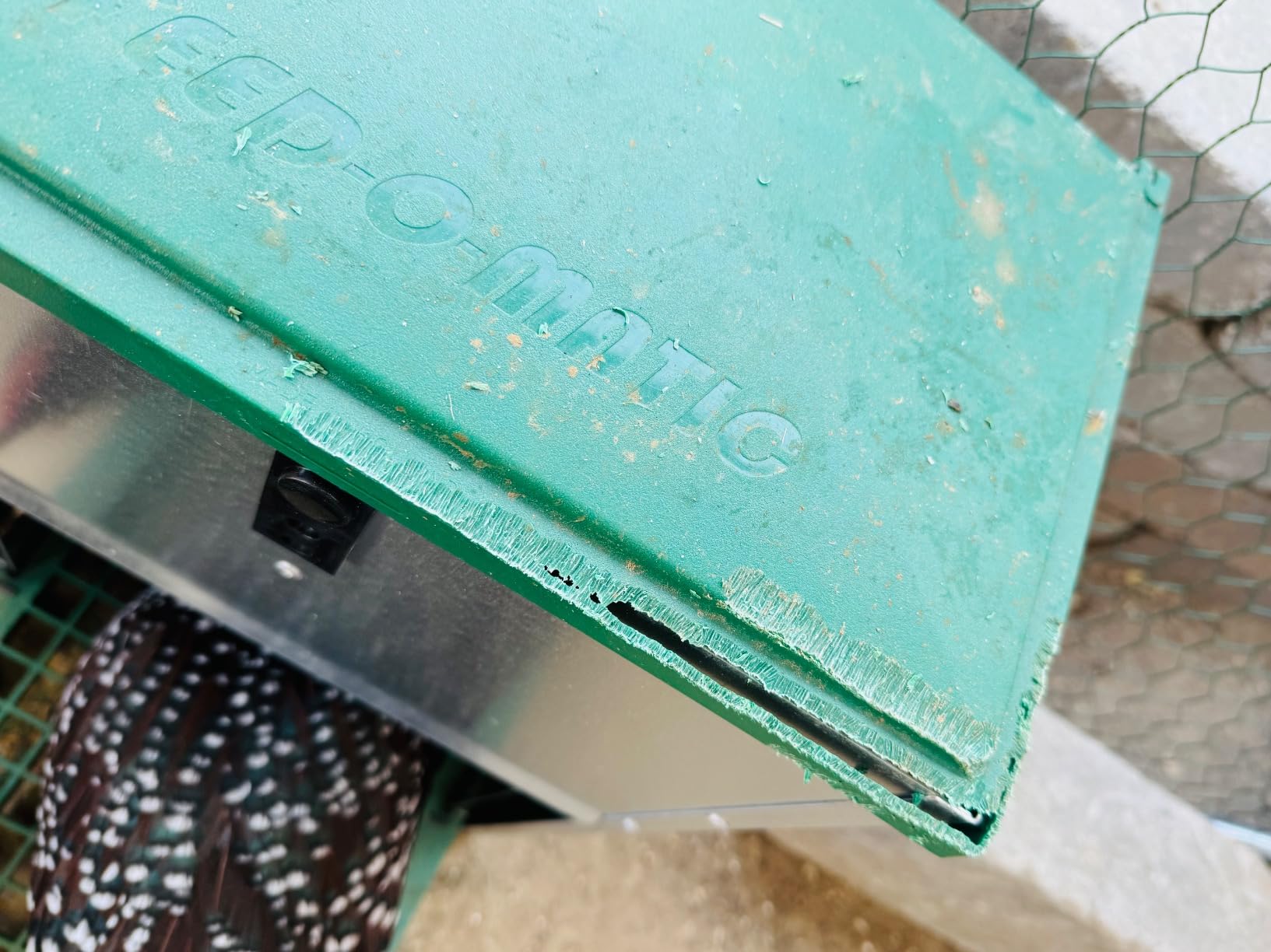 Olba B.V. Feedomatic Automatic Poultry Feeder, 12 kg customer photo 2