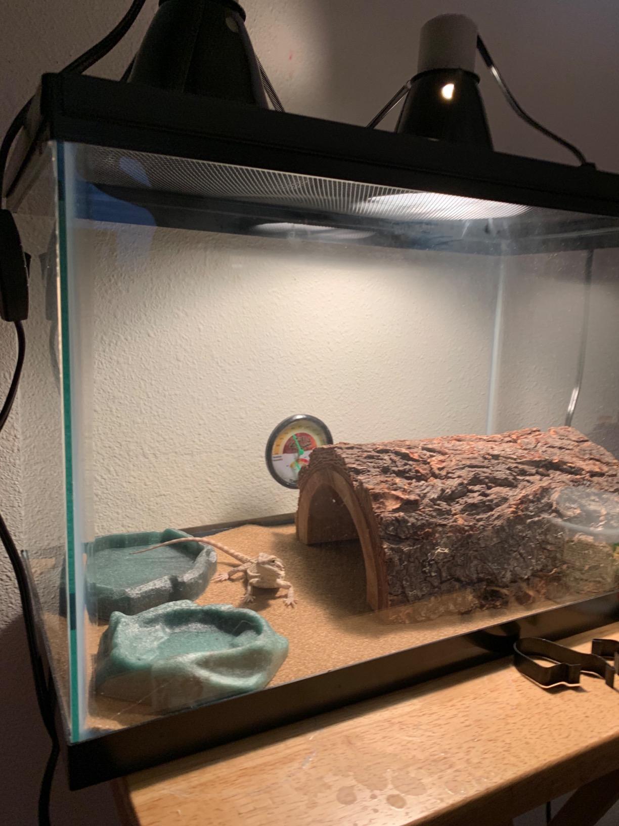Zilla 10 Gallon Reptile Starter Habitat Kit, Leopard Gecko Tank customer photo 2