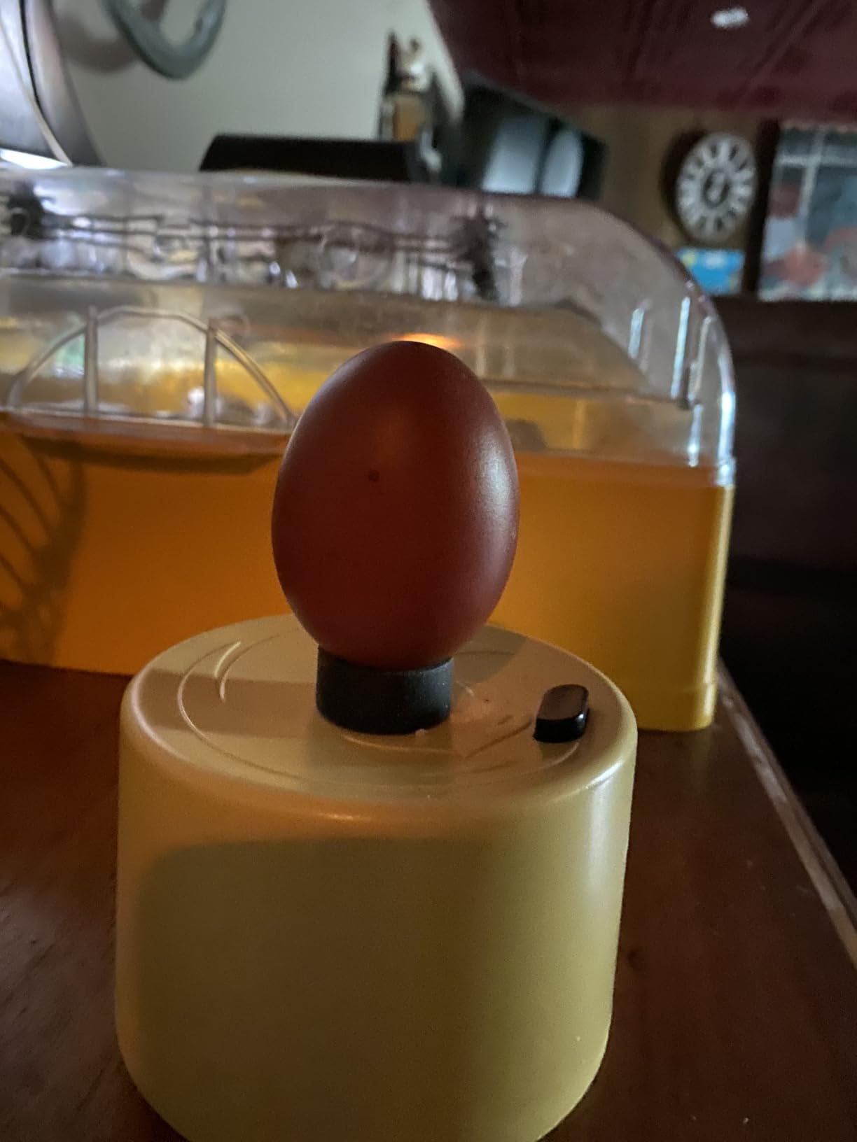 Titan Incubators High Intensity LED Chicken Egg Candler/Tester – Battery Powered customer photo 2