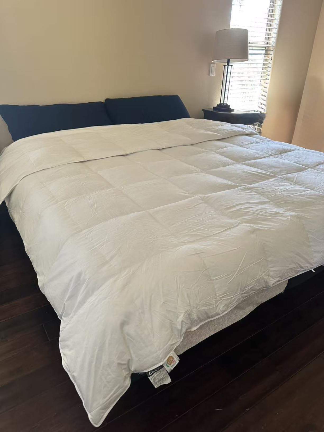 Globon Winter Goose Down Comforter King Size,800 Fill Power Duvet Insert customer photo 2