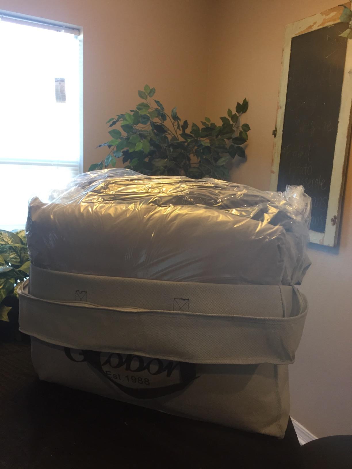 Globon Winter Down Comforter King Size,Heavyweight Duvet Insert,White customer photo 1
