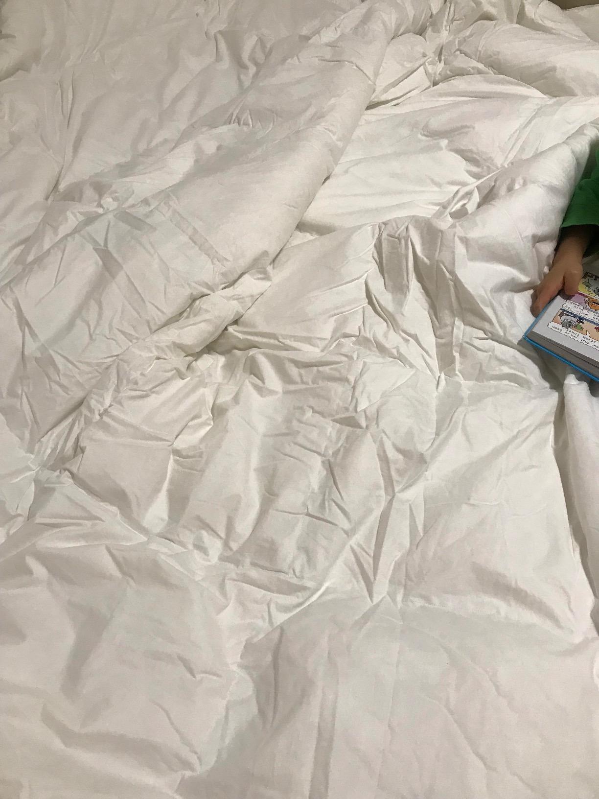Globon Winter Down Comforter King Size,Heavyweight Duvet Insert,White customer photo 2