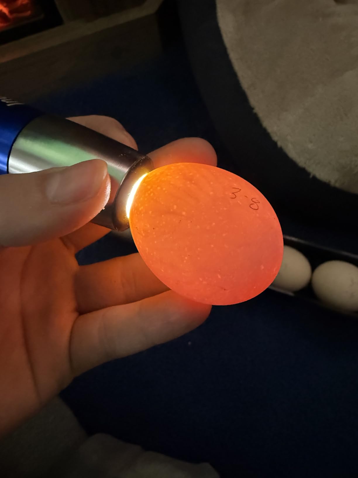 Incu-Bright™ Ultra Bright LED Egg Candler - Portable Light for All Egg Size customer photo 1