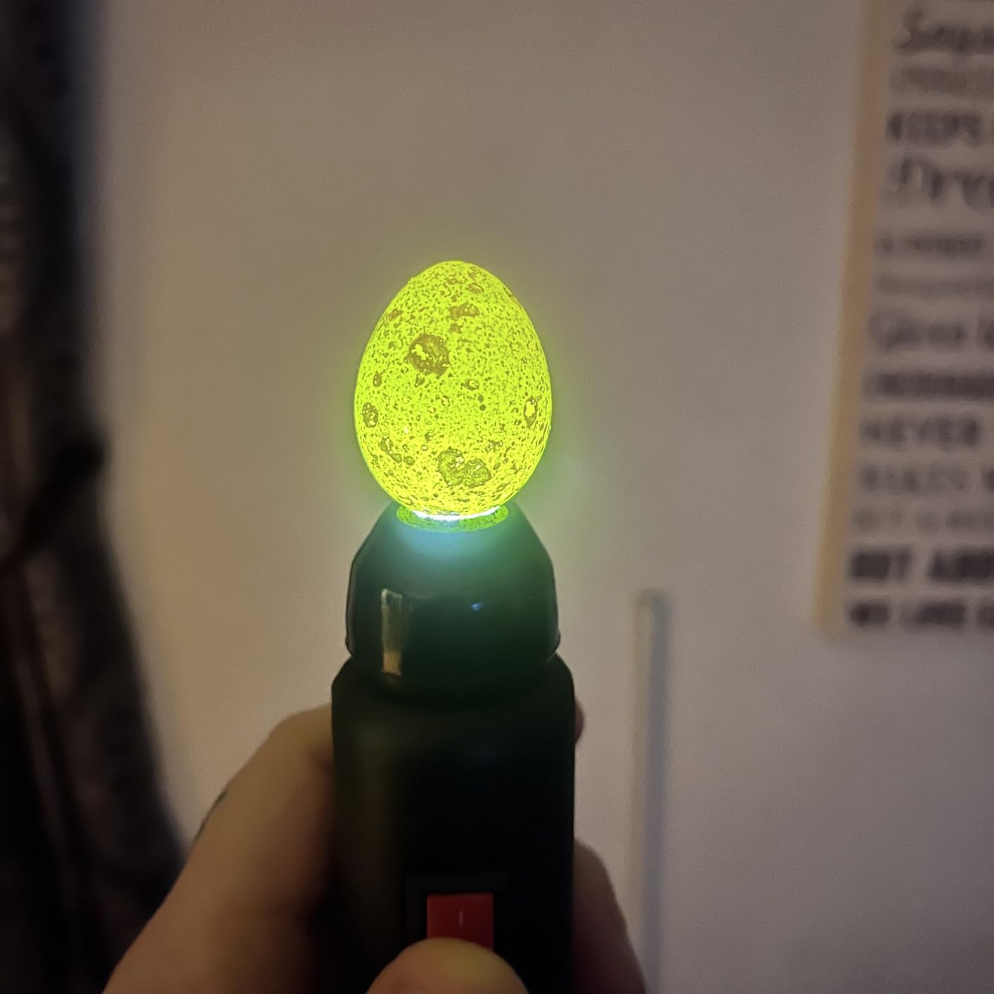 HBlife Wired LED Egg Candler, Bright Cool Light Egg Candler Tester for Monitoring Egg Development with 2 Soft Rubber customer photo 2
