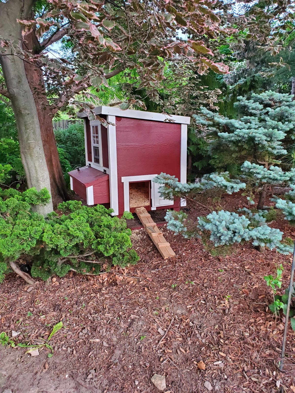 OverEZ Classic Medium Chicken Coop for up to 10 Chickens - Nesting Box - Large Bird, Poultry and Hen House, Made in USA customer photo 1