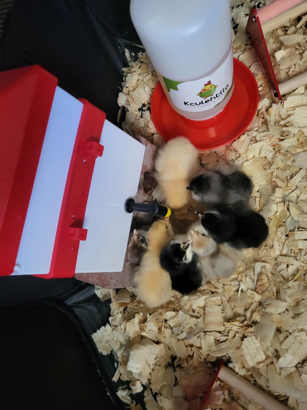 RentACoop 64oz Chicken Drinker with 2 Versatile Nipples customer photo 2