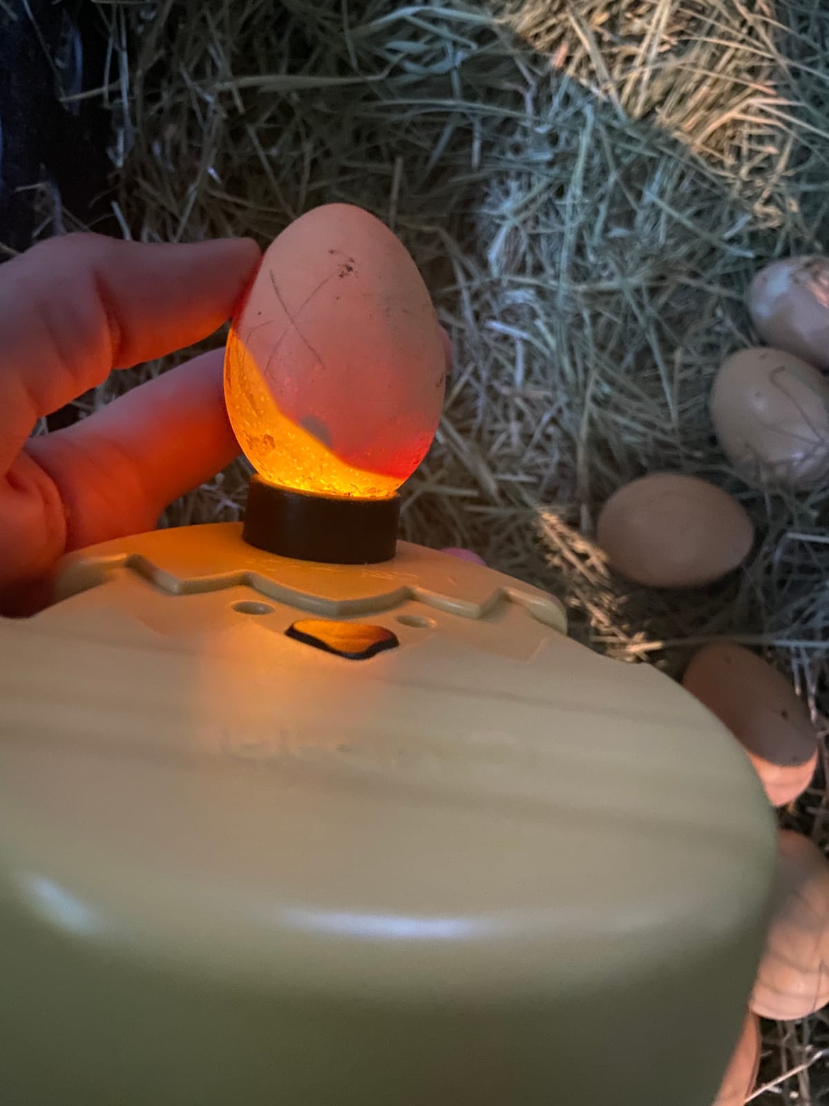Titan Incubators Ultrabright Chicken Egg Candler/Egg Candling - Battery Powered customer photo 1