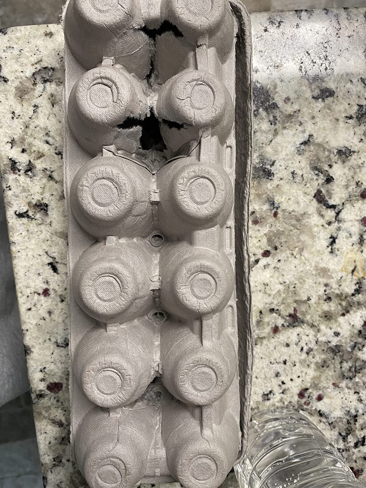 MT Products Blank Natural Pulp Egg Cartons Holds Up to Twelve Eggs - 1 Dozen - Strong Sturdy Egg Crate Cardboard Material Perfect For Storing Extra Eggs (25 Pieces) - Made in the USA customer photo 1