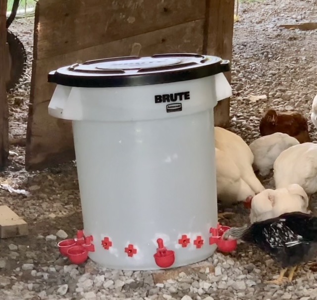 Poultry Pro DIY Chicken Feeder Kit, Weatherproof, 3 Ports & Hole Saw customer photo 1