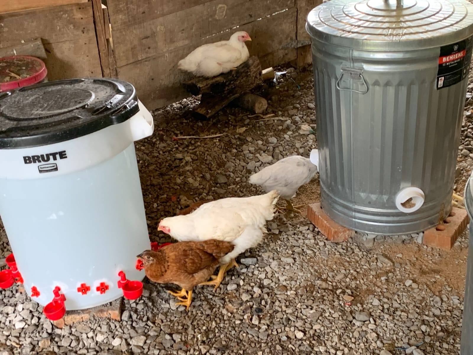Poultry Pro DIY Chicken Feeder Kit, Weatherproof, 3 Ports & Hole Saw customer photo 2