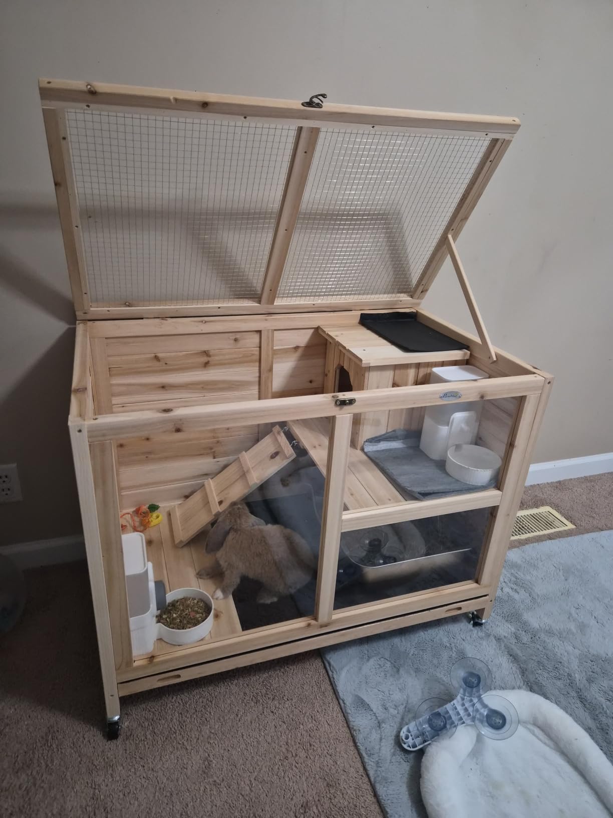 PawHut Rabbit Hutch with Wheels, Desk and Side Table Sized, Wooden Rabbit Cage, Waterproof Small Bunny Cage with Removable Tray, Openable Roof, for Indoor & Outdoor, Natural customer photo 1