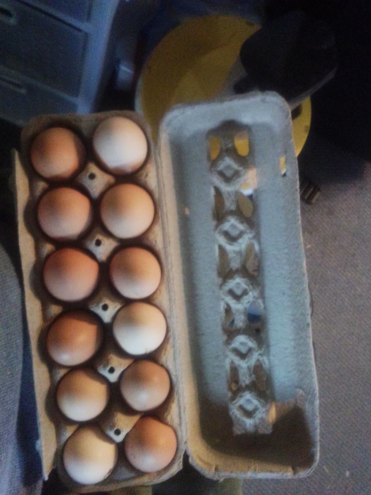 Vented Paper Pulp Egg Cartons Holds 1 Dozen Chicken Eggs (24 Pack) customer photo 2