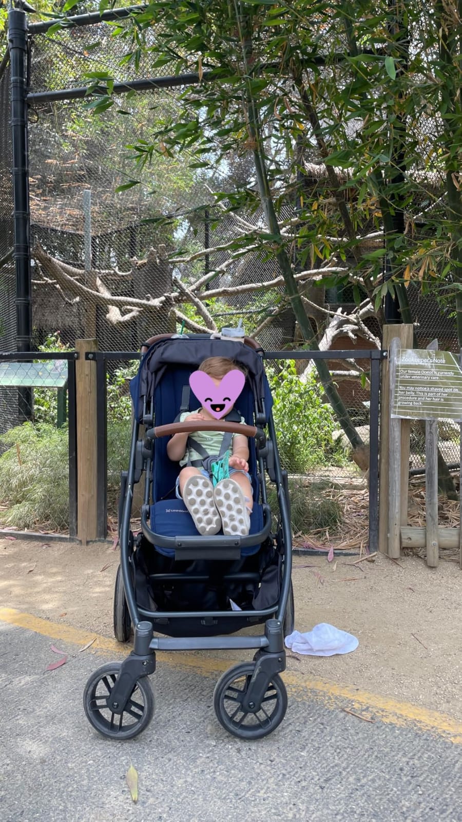 UPPAbaby Cruz V2 Stroller/Full-Featured Stroller with Travel System Capabilities/Toddler Seat, Bumper Bar, Bug Shield, Rain Shield Included/Greyson (Charcoal Mélange/Carbon Frame/Saddle Leather) customer photo 1