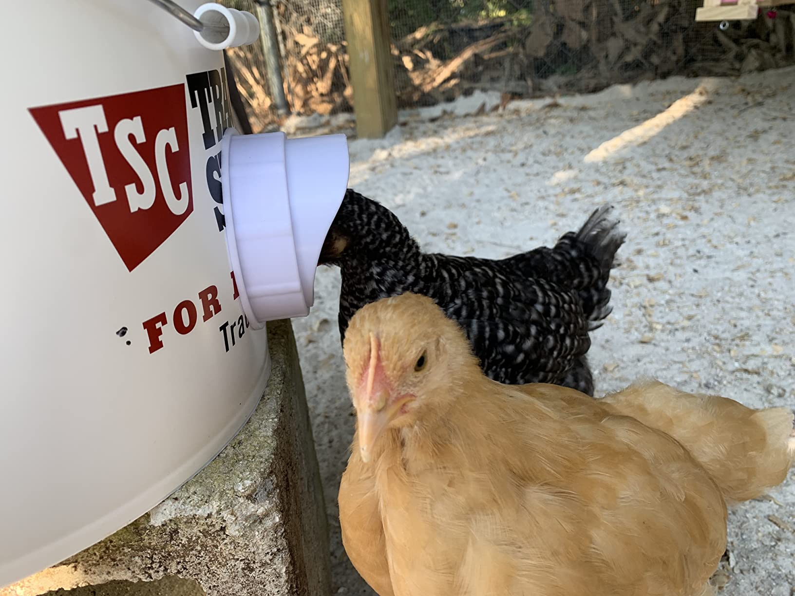 DIY Chicken Feeder No Waste Automatic Poultry Feed Kit for Buckets, 4 Ports customer photo 2