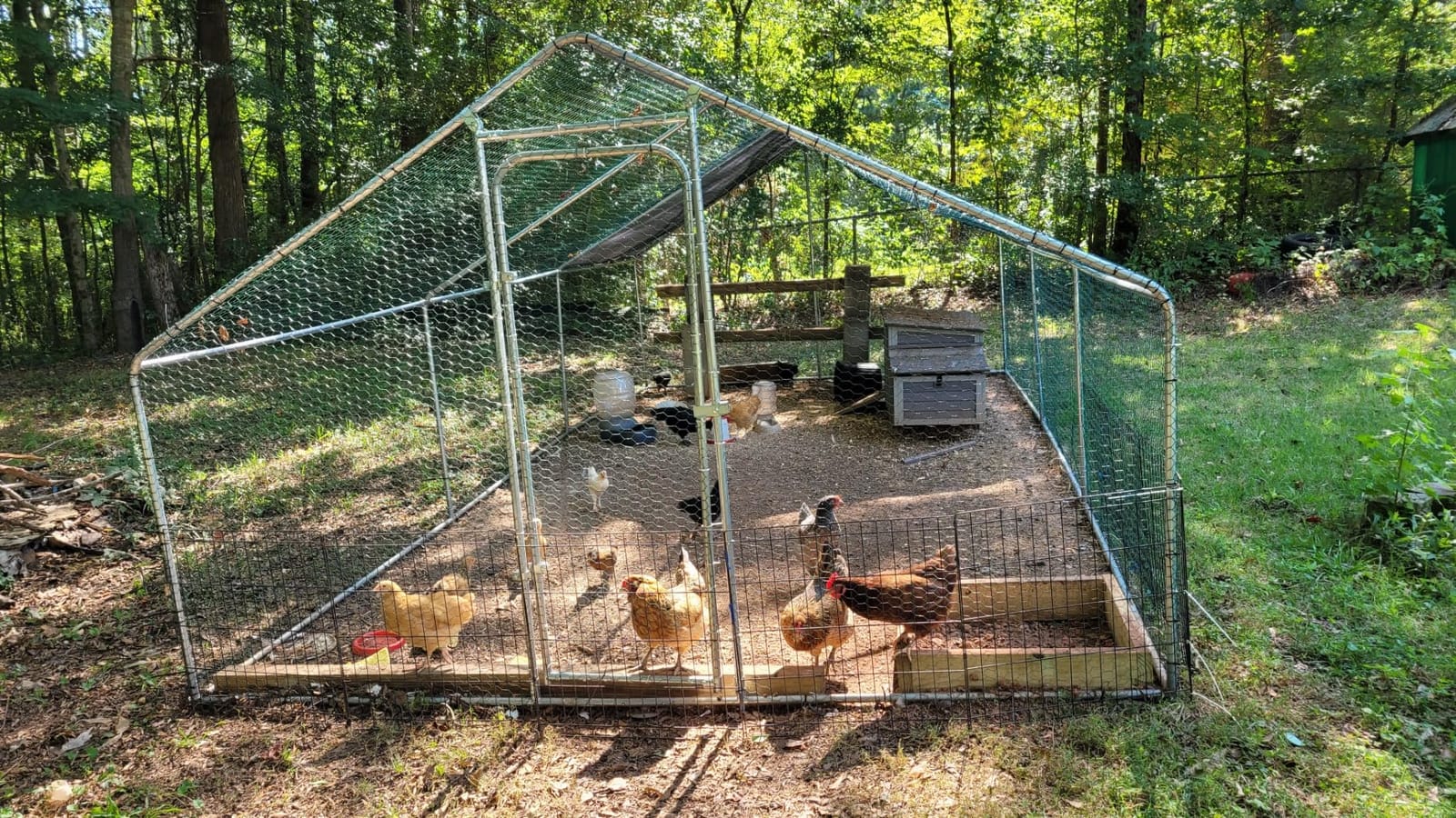 Large Metal Chicken Coop, 13.2x9.9x6.6ft Bold Chicken Pen with Spire Shape customer photo 2