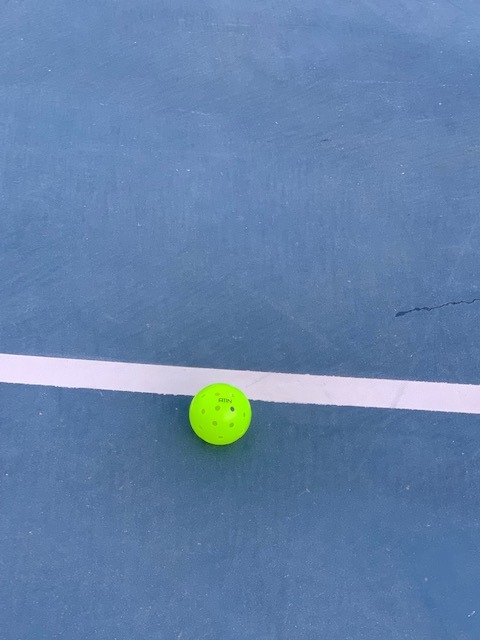 A11N S40 Outdoor Pickleball Balls- USA Pickleball Approved for Tournament Play, 3/6/12/50-Pack, Neon Green/Fuchsia/Tangerine customer photo 1
