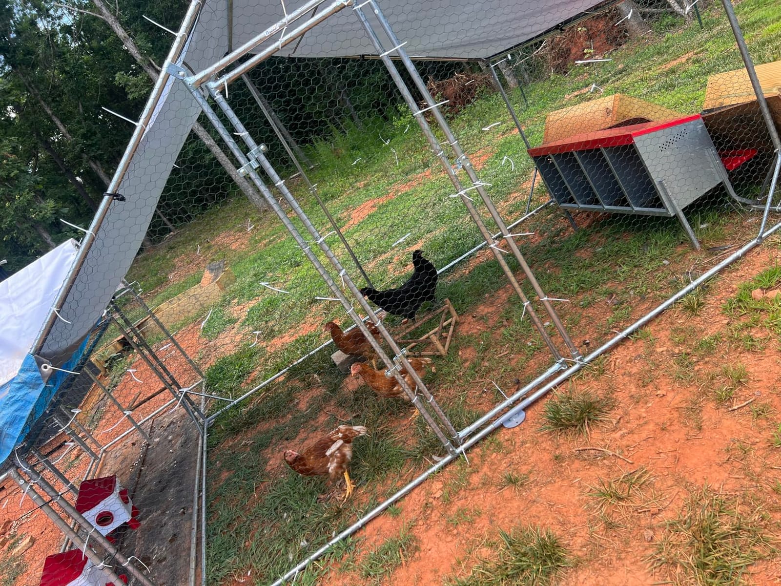 PawHut Large Chicken Coop Metal Chicken Run with Waterproof and Anti-UV Cover, Spire Shaped Walk in Fence Cage Hen House for Outdoor and Yard Farm Use, 1