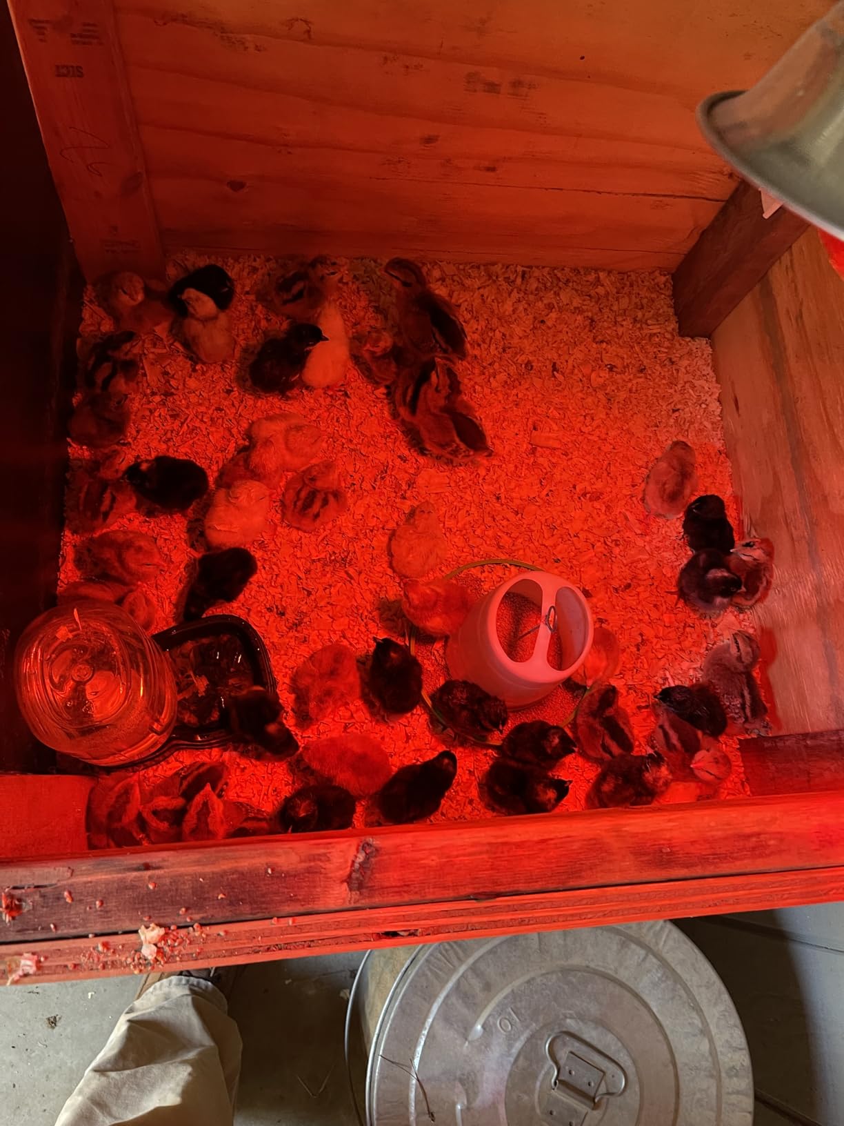 Hatching Time Incubators for Hatching Eggs, CT180SH Egg Setter & Hatcher customer photo 2