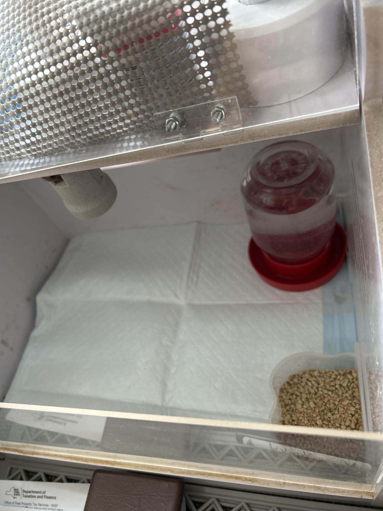 Intelligent Brooder Box 10-15 Newborns Chicks Quail Birds Egg Incubator customer photo 2