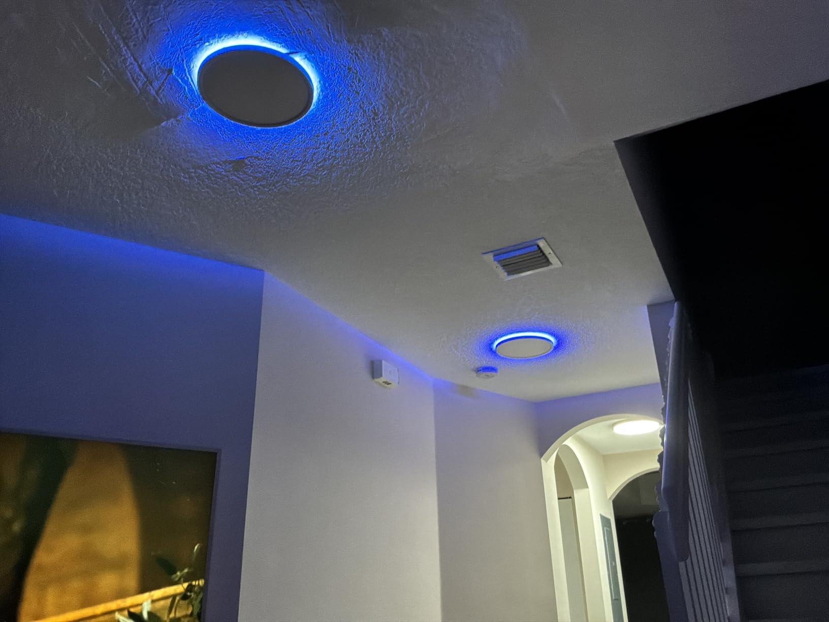 MELEGAN 12 Inch Smart RGB LED Flush Mount Ceiling Light (1 Pcs) customer photo 1