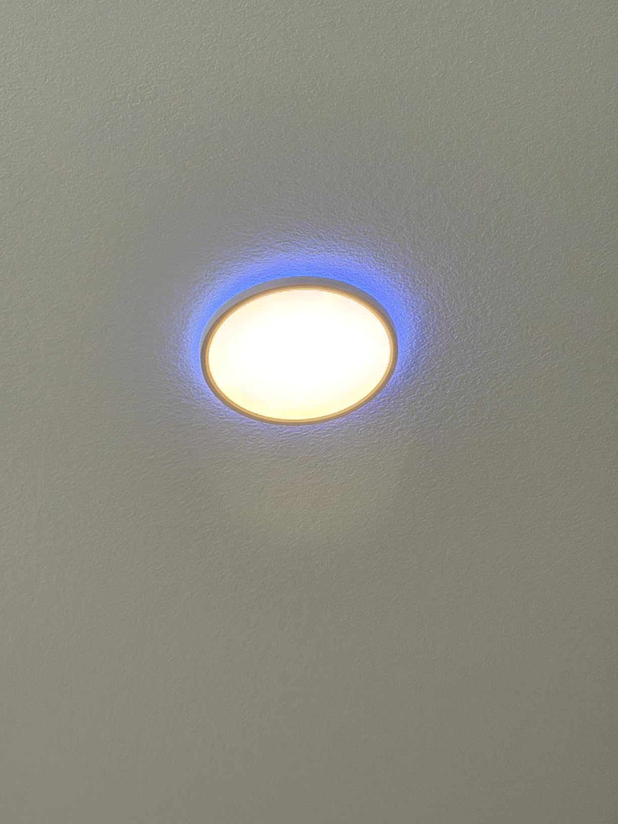 MELEGAN 12 Inch Smart RGB LED Flush Mount Ceiling Light (1 Pcs) customer photo 2