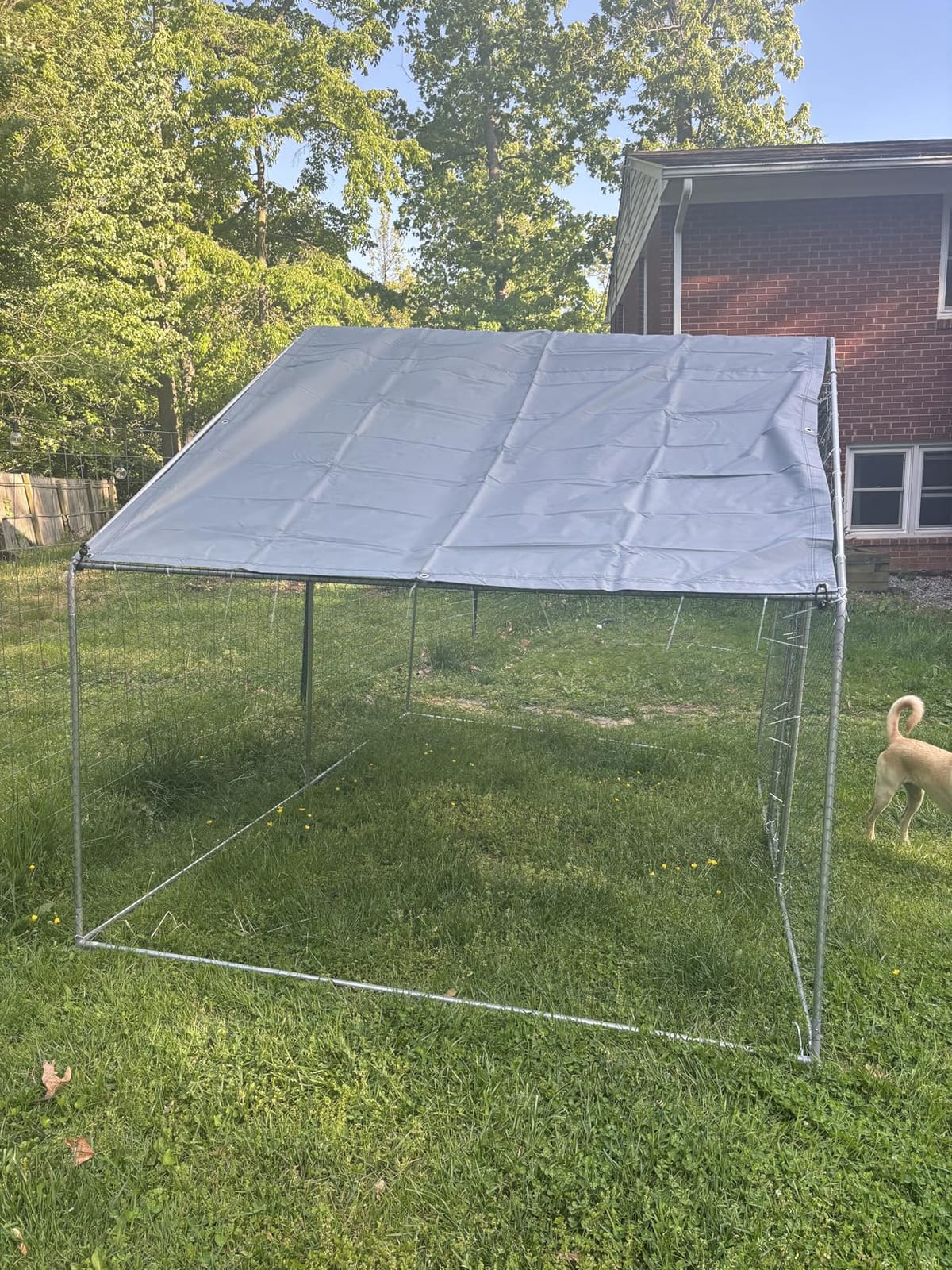 Large Metal Chicken Coop Round Top Upgrade Tri-Supporting Wire Mesh Chicken Run,Chicken Pen with Water-Resident and Anti-UV Cover,Duck Rabbit House Outdoor (13'L x 9'W x 6.5'H) customer photo 1