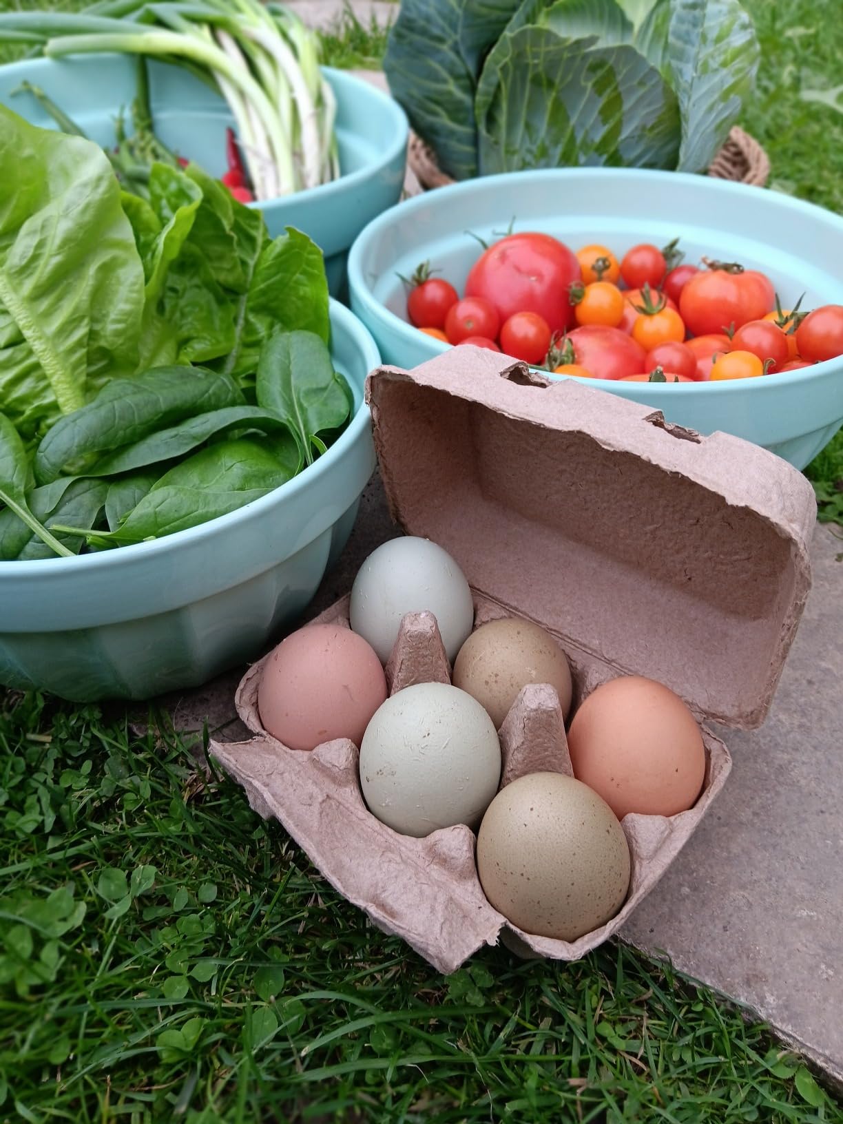 Half Dozen Egg Cartons 25 Pack, Paper Pulp Vintage Egg Cartons Cheap Bulk customer photo 1
