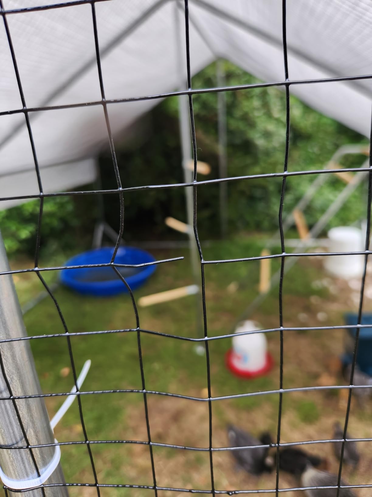 Heavy Duty Metal Chicken Coop with Hardware Cloth (117.05