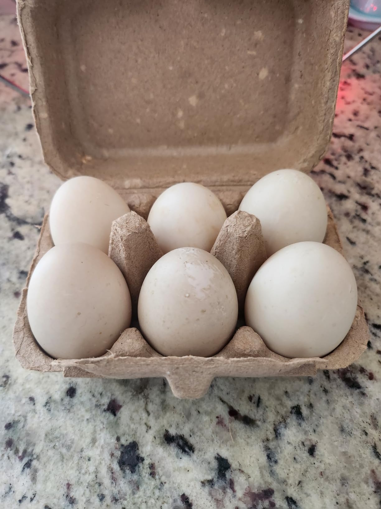Paper Egg Cartons for Chicken Eggs, 36 Pieces Pulp Fiber Half Dozen Egg Cartons Bulk 6 Count Egg Storage Containers Holder for Family Farm Market Fridge Storing Chicken Eggs customer photo 2