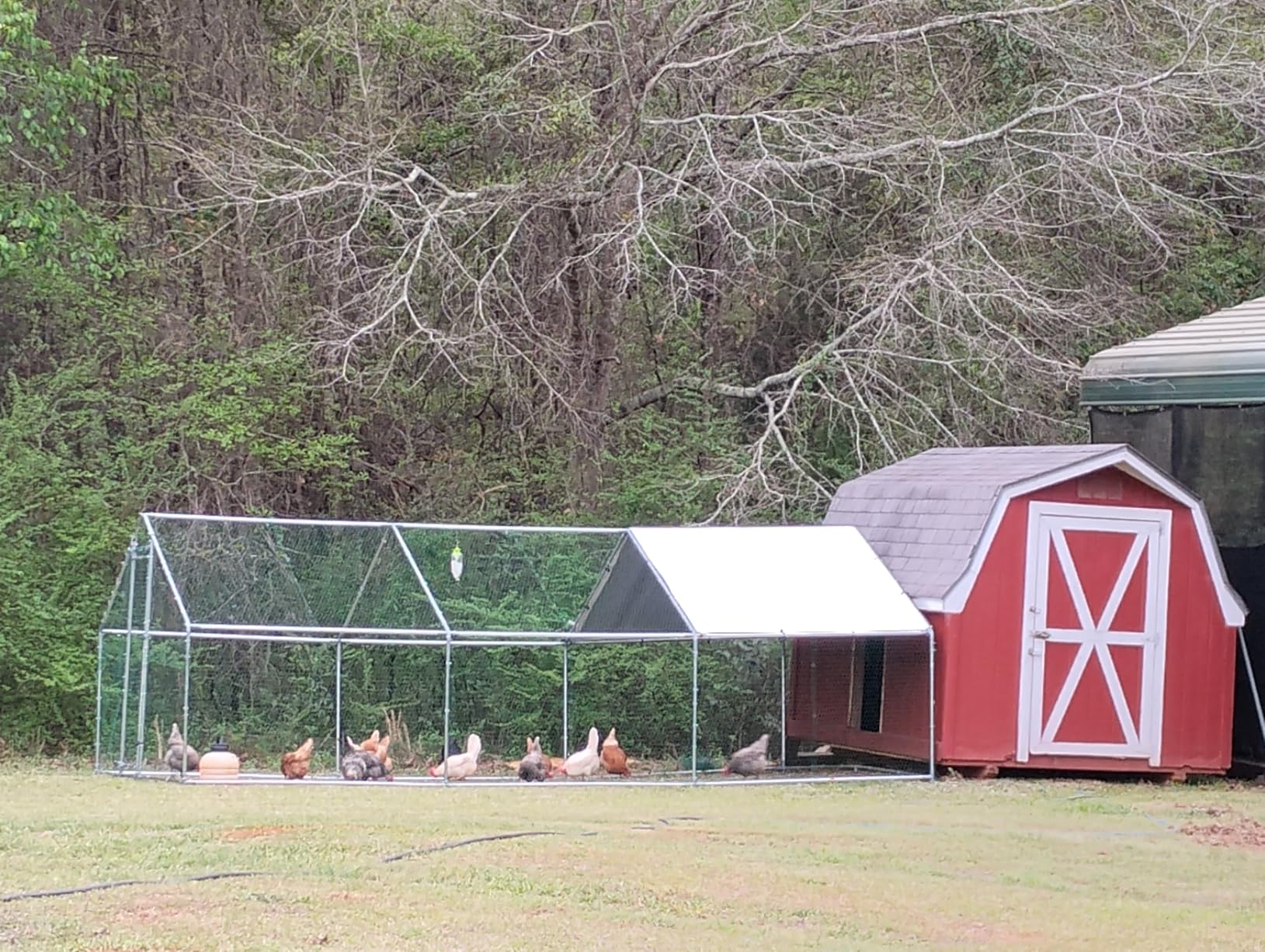 VEVOR Large Metal Chicken Coop with Run, 13.1 x 9.8 x 6.5 ft Walkin Chicken Coop for Yard with Waterproof Cover, Dome Roof Large Poultry Cage for Hen House, Duck Coop and Rabbit Run customer photo 1