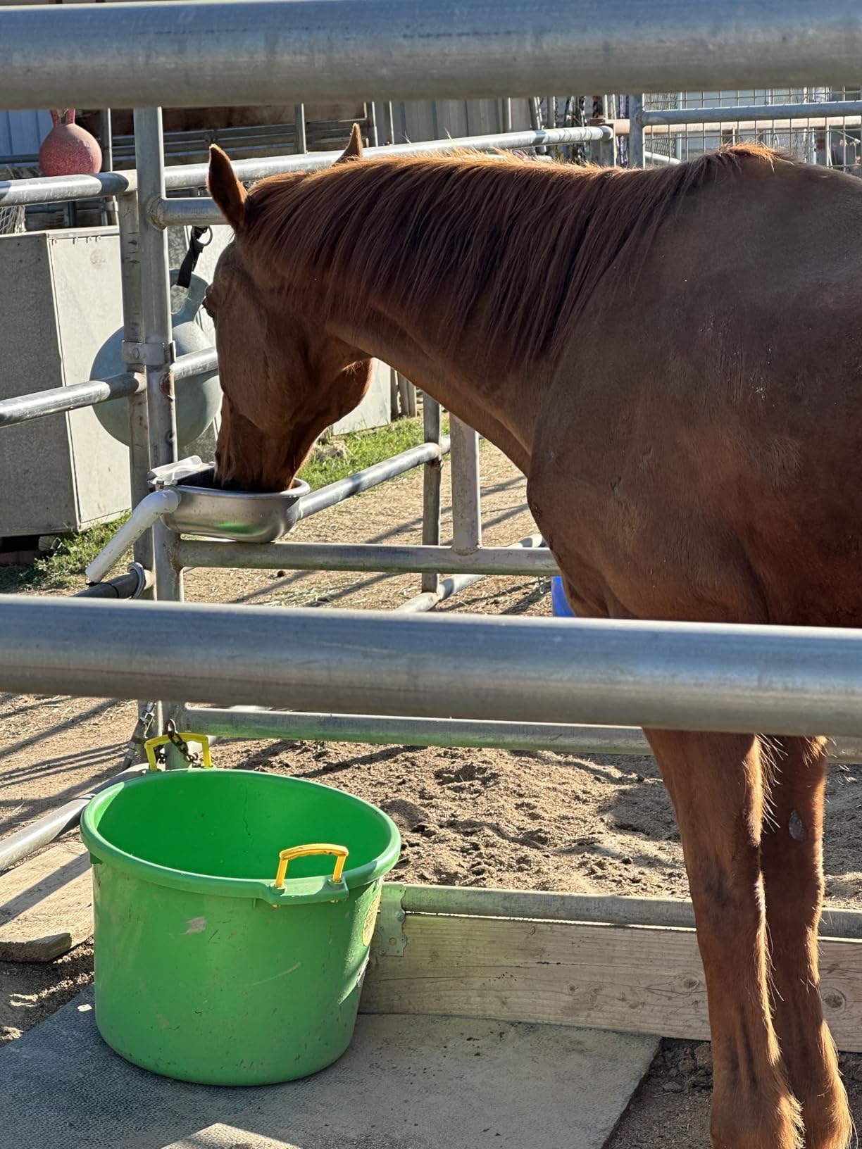 Automatic Animal Drinking Water Bowl, 304 Stainless Steel Waterer for Dog Horse Goat Pig Cow, Livestock Water Trough Dispenser with Pipe Hose, 2 Float Valves, Quick Connecter, Expansion Bolt customer photo 1