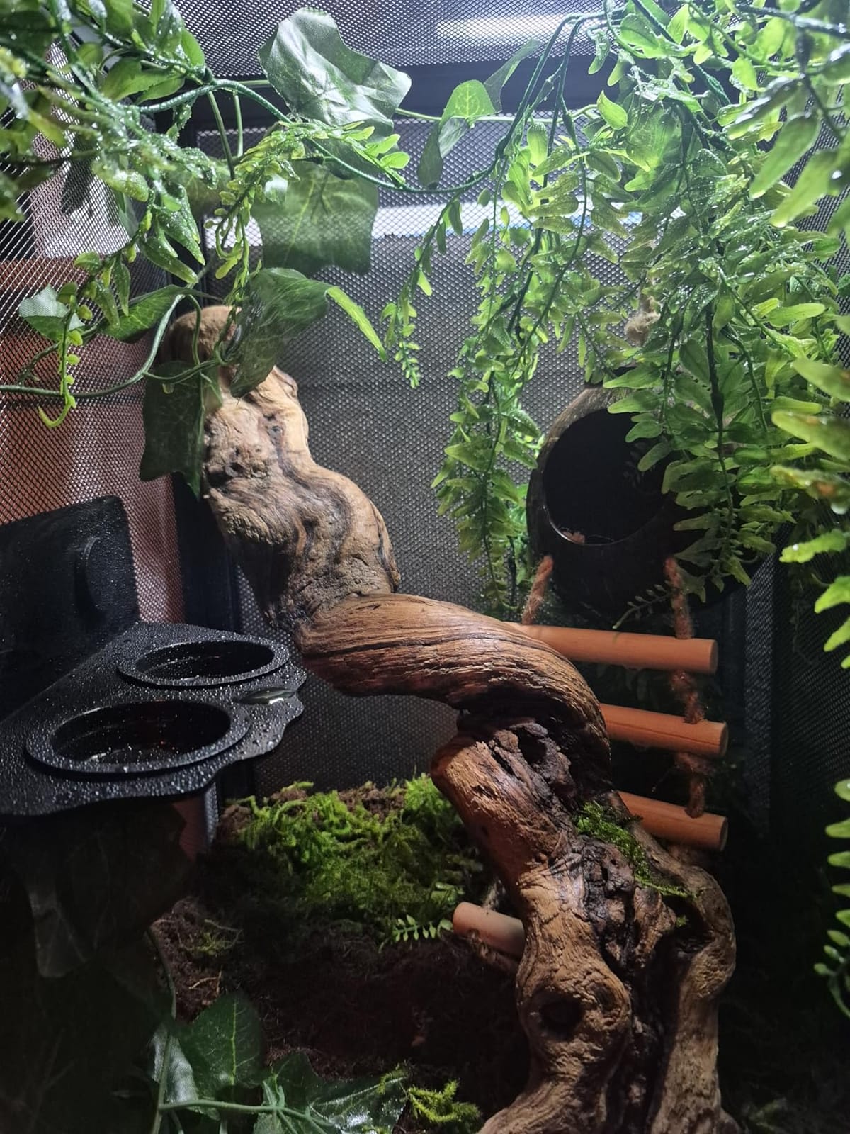 RunDuck Foldable Reptile Terrarium Kit, 45 Gallon 32