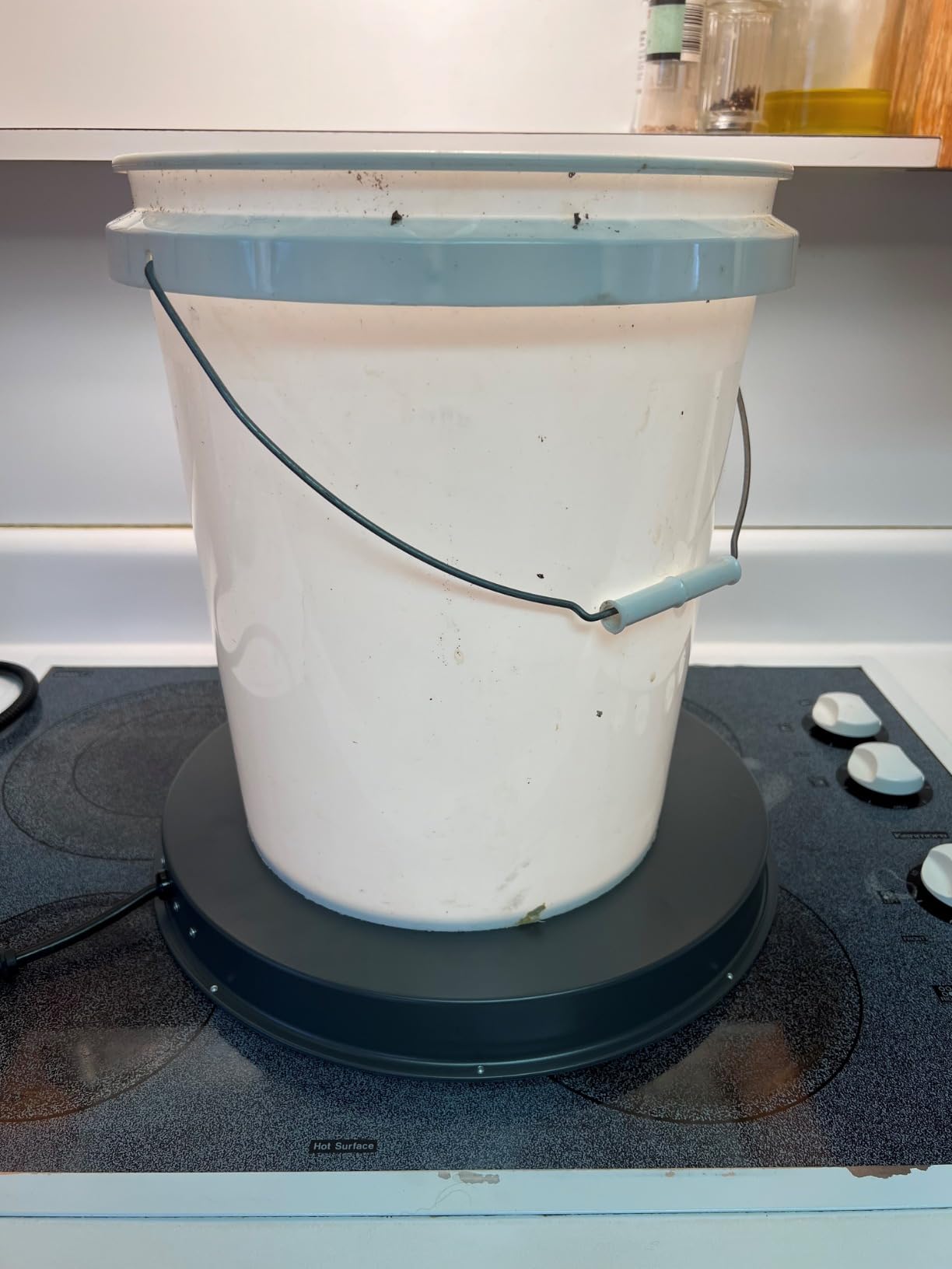 Chicken Water Heater for Winter - 15.35