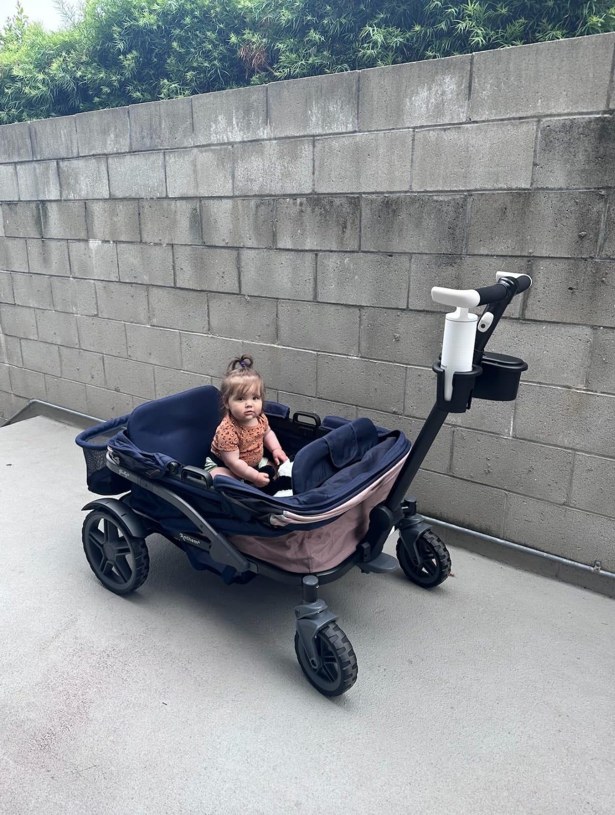 Anthem4 Quad All-Terrain Wagon Stroller with Easy Push and Pull, Removable XL Canopies, and Sturdy, Safe Folding for Storage and Transport, Sea Moss customer photo 1
