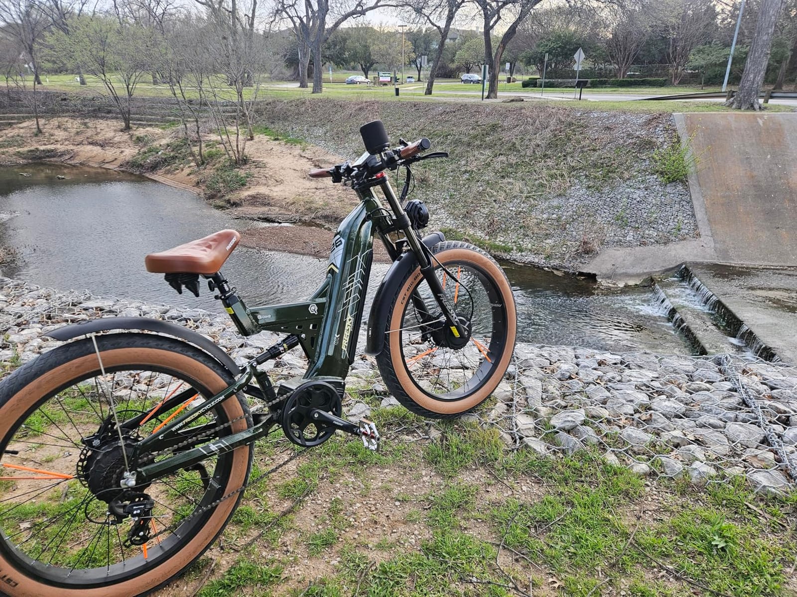 FREESKY Dual Motor 45MPH 120Mile 260NM LG Cells Electric Bike for Adults customer photo 1