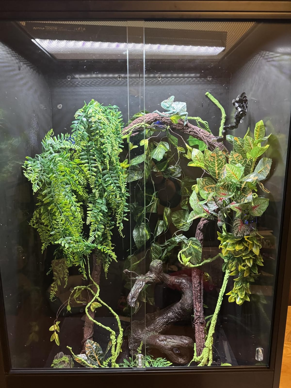 REPTIZOO 100 Gallon PVC Reptile Enclosure, 36x18x36 inch Extra Tall Large Reptile Tank, Chameleon Frog Gecko Lizard Arboreal Terrarium with Sliding Door & Screen Ventilation customer photo 2
