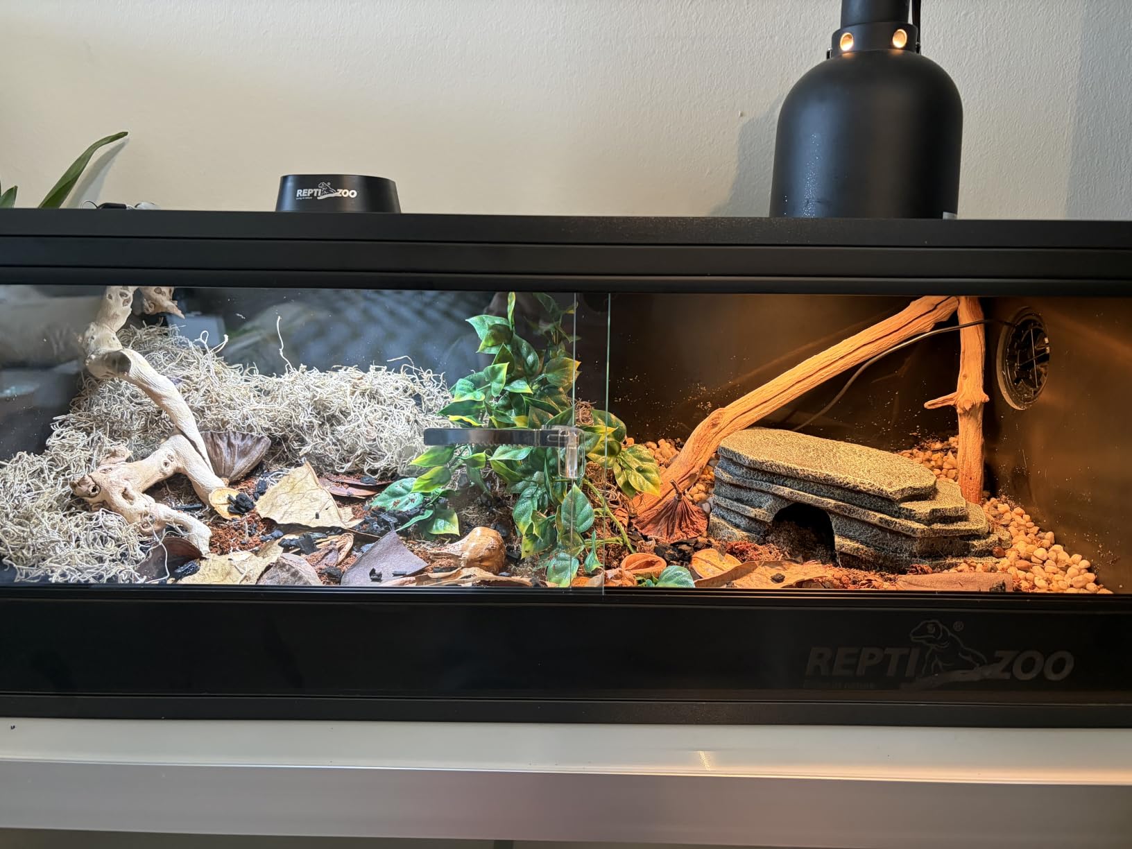 REPTI ZOO 20 Gallon PVC Reptile Terrarium, 24x18x12 inch Reptile Tank for Crested Gecko Leopard Gecko Snake Turtle Hermit Crab, Thermal Insulation Moisturizing customer photo 2