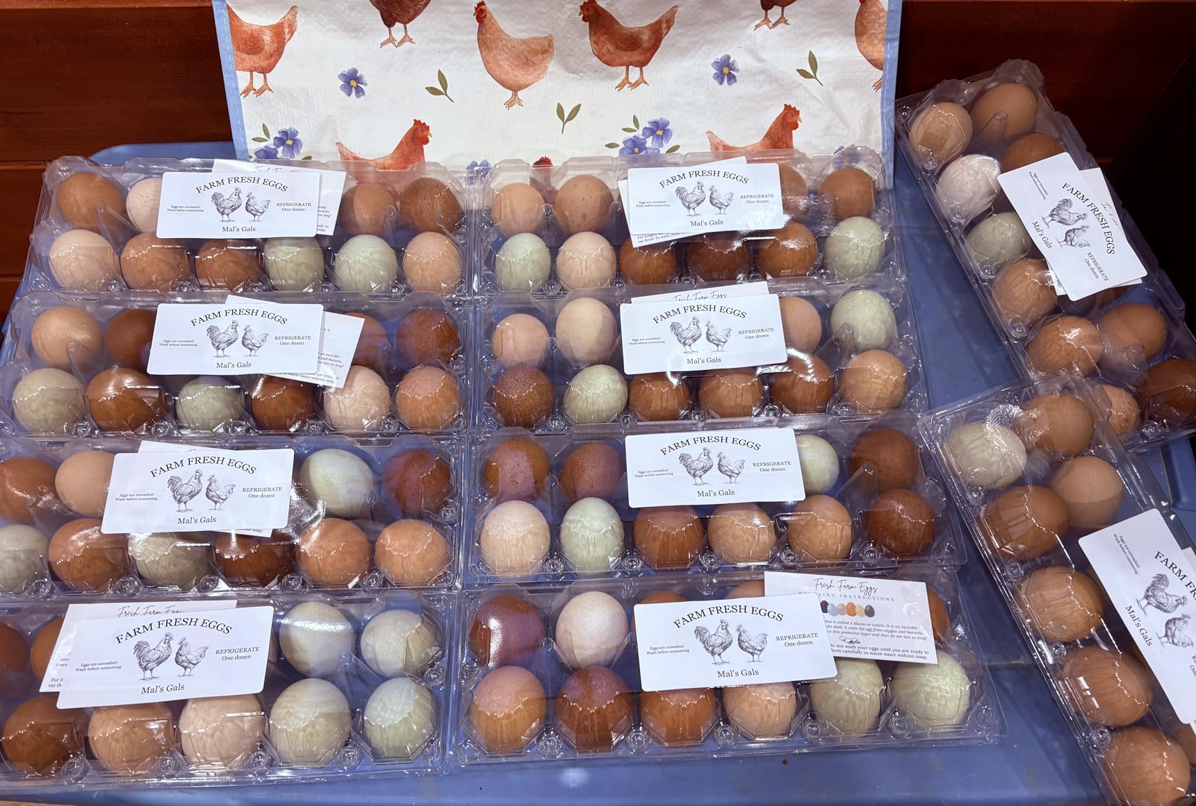 SINLUCESCE 60 Packs Egg Cartons Cheap Bulk, Plastic for 12 Eggs, Clear Egg Cartons 2 x 6 Grids, Perfect for Refrigerator Family Farm Commercial Business Market Display customer photo 1