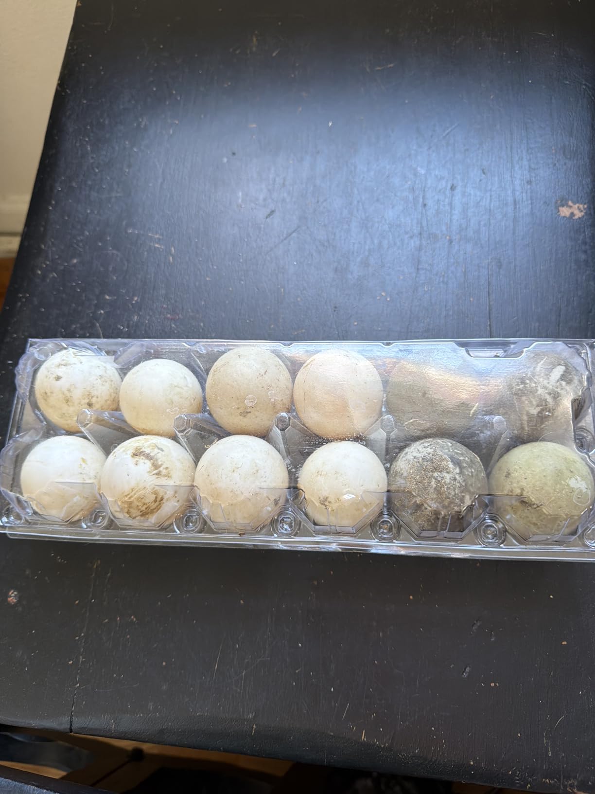 SINLUCESCE 60 Packs Egg Cartons Cheap Bulk, Plastic for 12 Eggs, Clear Egg Cartons 2 x 6 Grids, Perfect for Refrigerator Family Farm Commercial Business Market Display customer photo 2