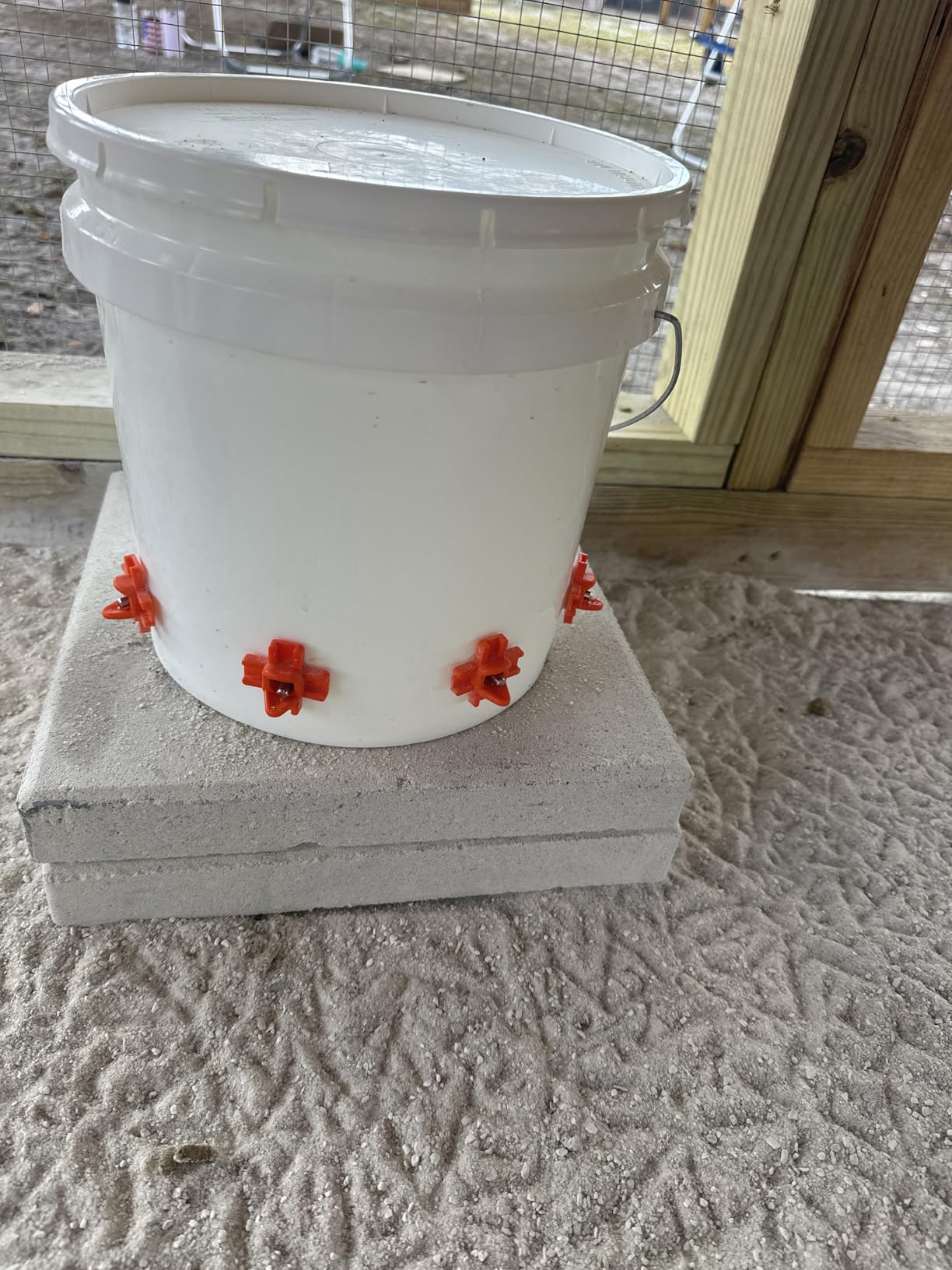 Eggluuz Chicken Waterer Nipple Horizontal Side Mount Automatic Nipples Drinker for Chickens 16 Pack customer photo 1
