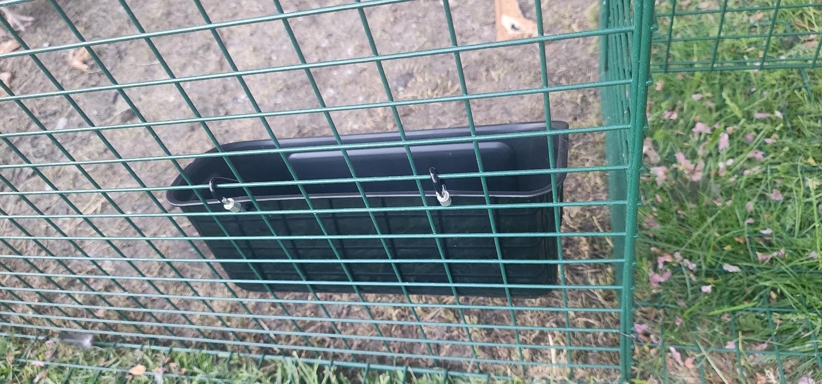 PIREKZUNT 2 Pack Chicken Duck Feeder, Poultry Feeders and Waterers, Hanging Goat Feeder, Livestock Feeding Container, Feed Trough and Waterer Bucket with Clips(Black) customer photo 1