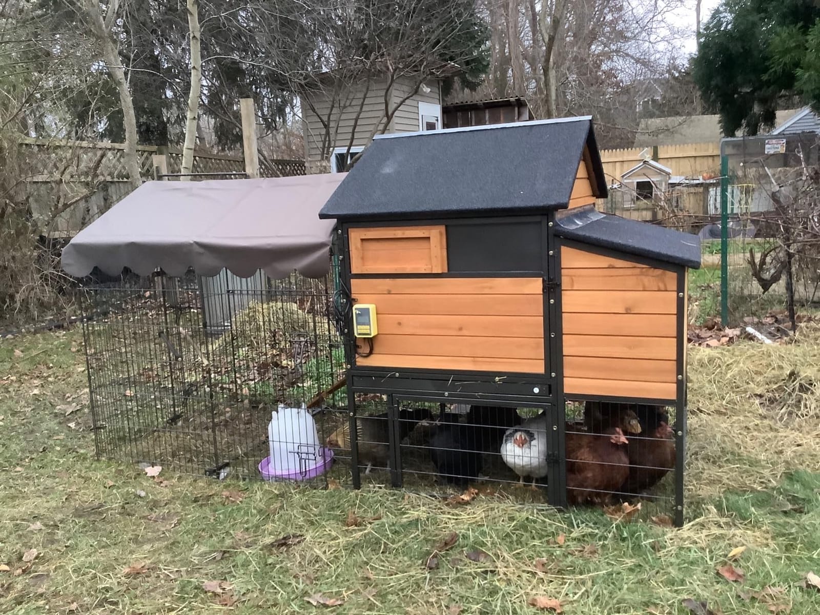 GUTINNEEN Chicken Coop Mobile Upgraded with Metal Frame and Metal Chicken Run 85